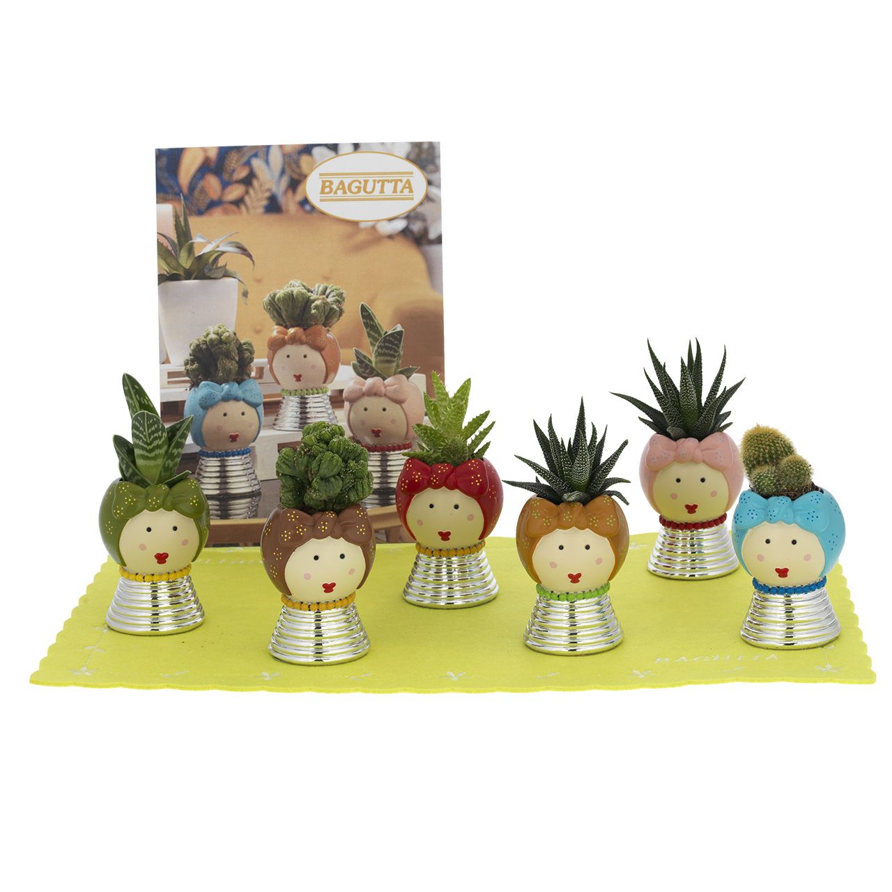 EXPOKIT 1x6 PORTAVASO - Art. 2189
